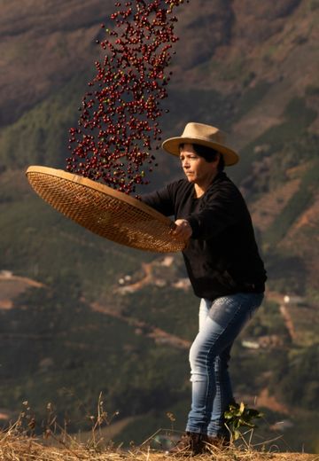 Apprécier des cafés accessibles