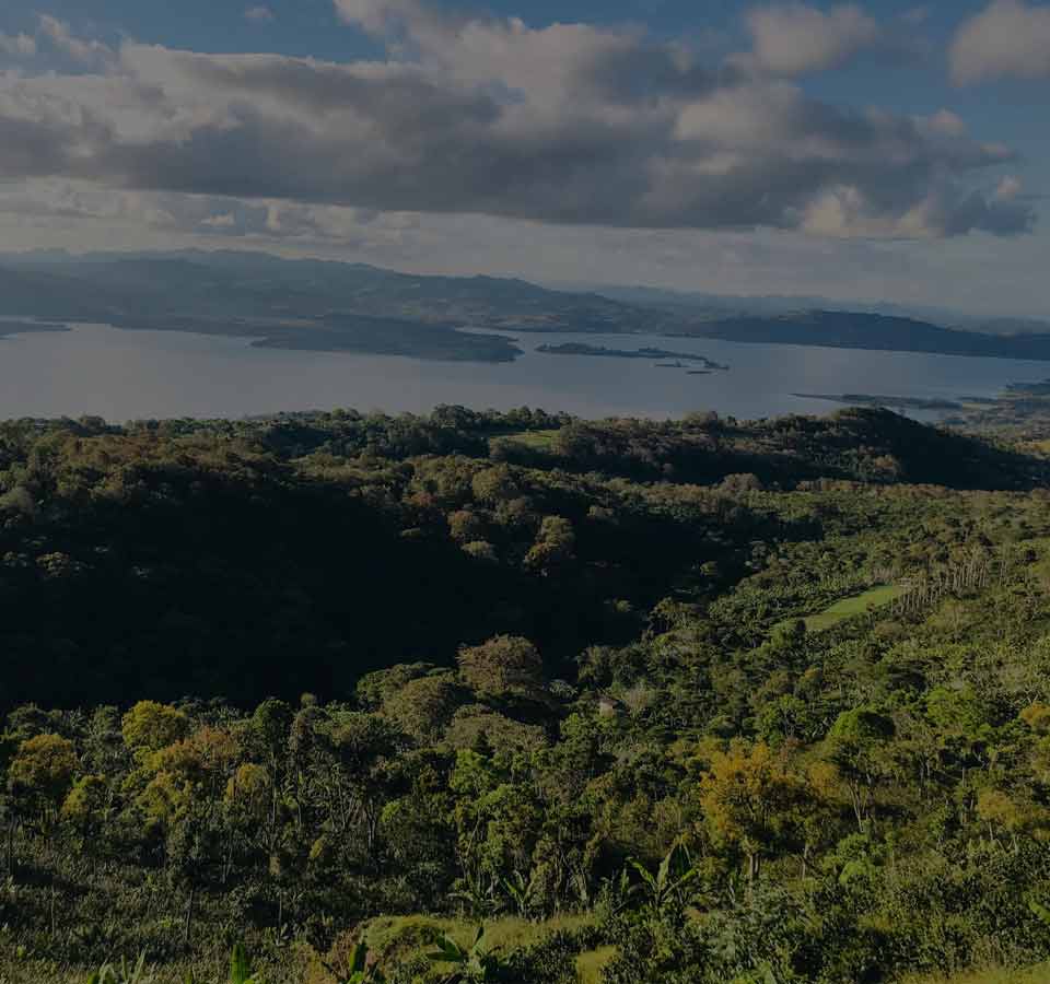Le Nicaragua, un pays en pleine révolution caféière