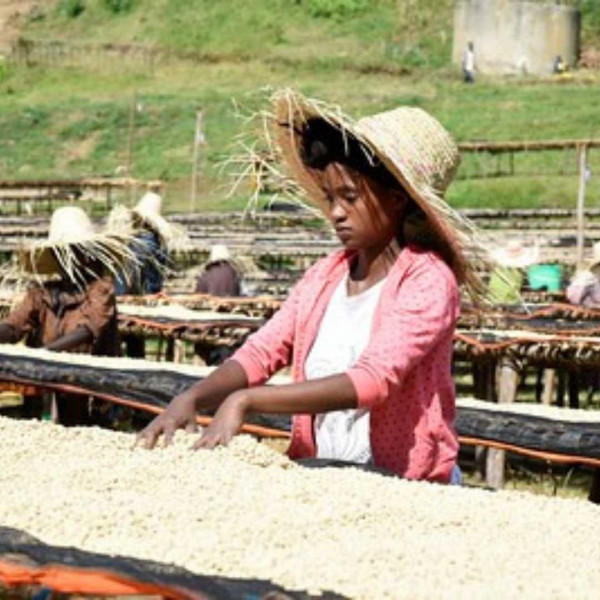 Café BIO Décaféiné Ethiopie | Sidama 1kg
