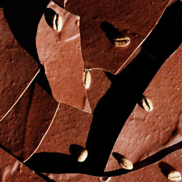 fragments chocolat café l chocolat passion & ananas