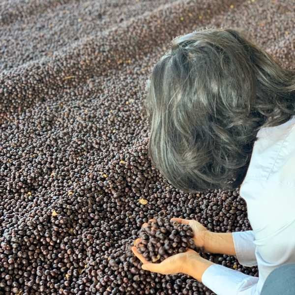 Café en grains ou moulu Brésil | Naná Naná 250g