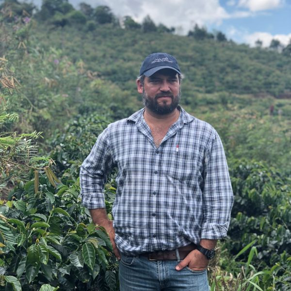 Café en grains ou moulu Guatemala | San Lorenzo 1kg