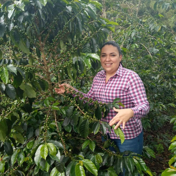 Café en grains ou moulu Colombie | La Escarlata 1kg