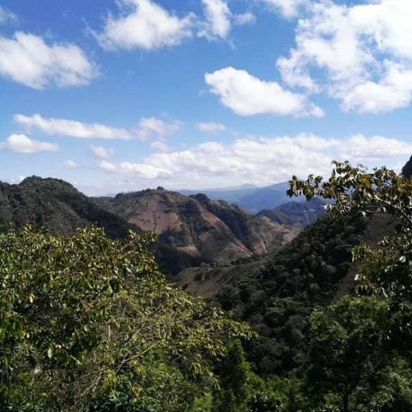 Café en grains ou moulu Guatemala | Bendición 1kg