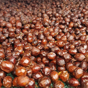 Café en grains ou moulu Costa Rica | La Bandera 250g