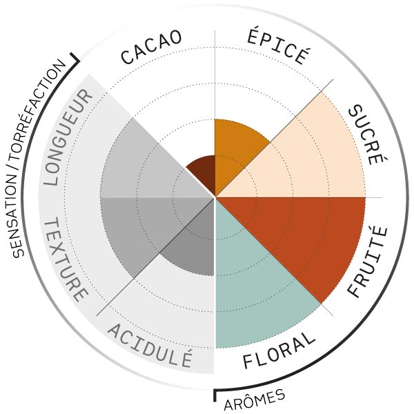 Café en grains ou moulu Geisha du Guatemala | Finca Gascon 150g